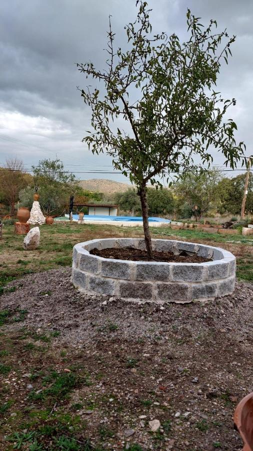 El Refugio De Las Arribes Villarino de los Aires エクステリア 写真